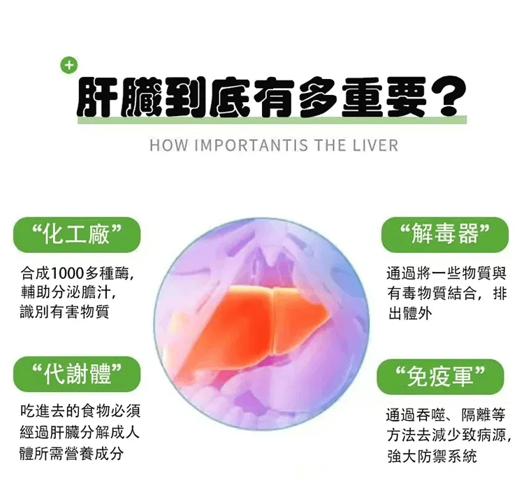 芙順堂葛根靈芝片