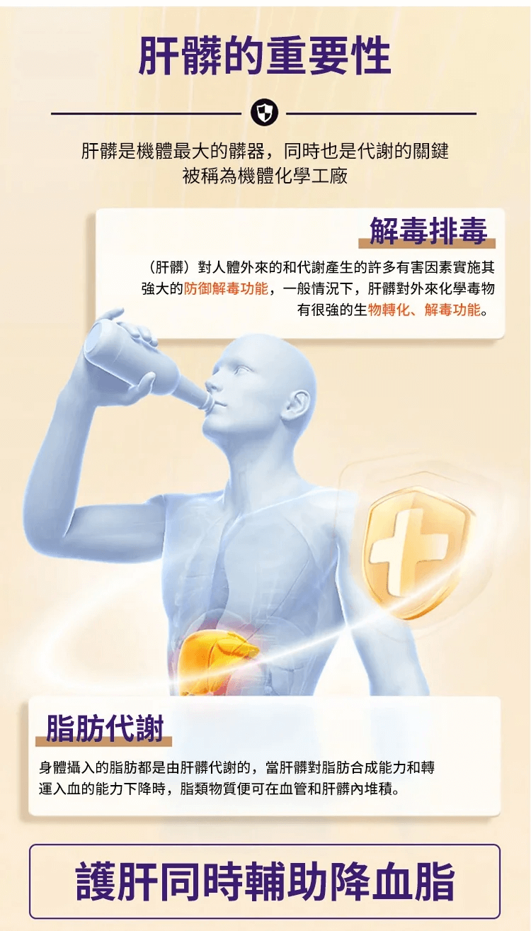 芙順堂葛根靈芝片
